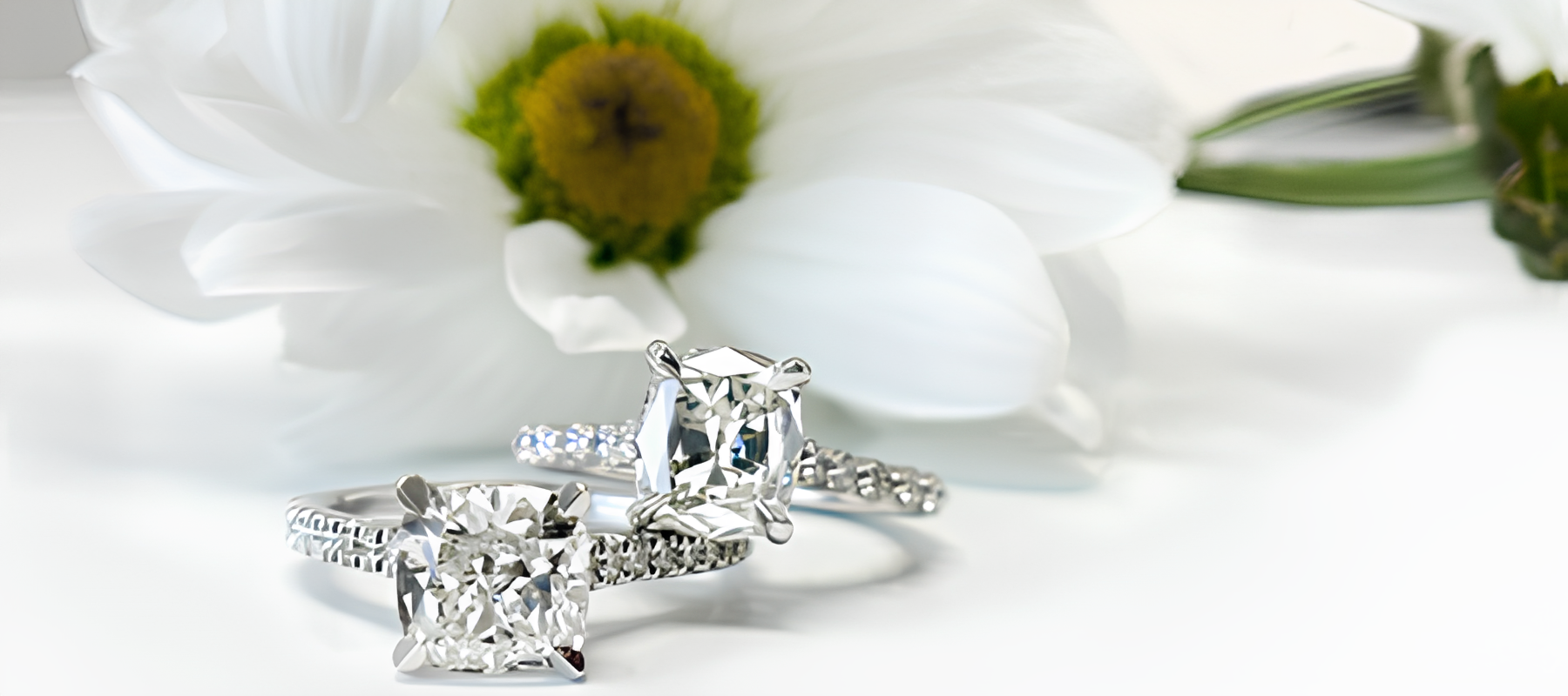 Planning the Perfect Spring Proposal